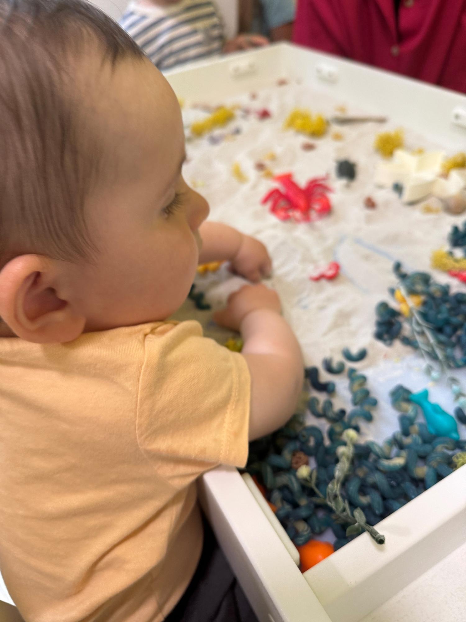 Sensory Exploration & Discovery