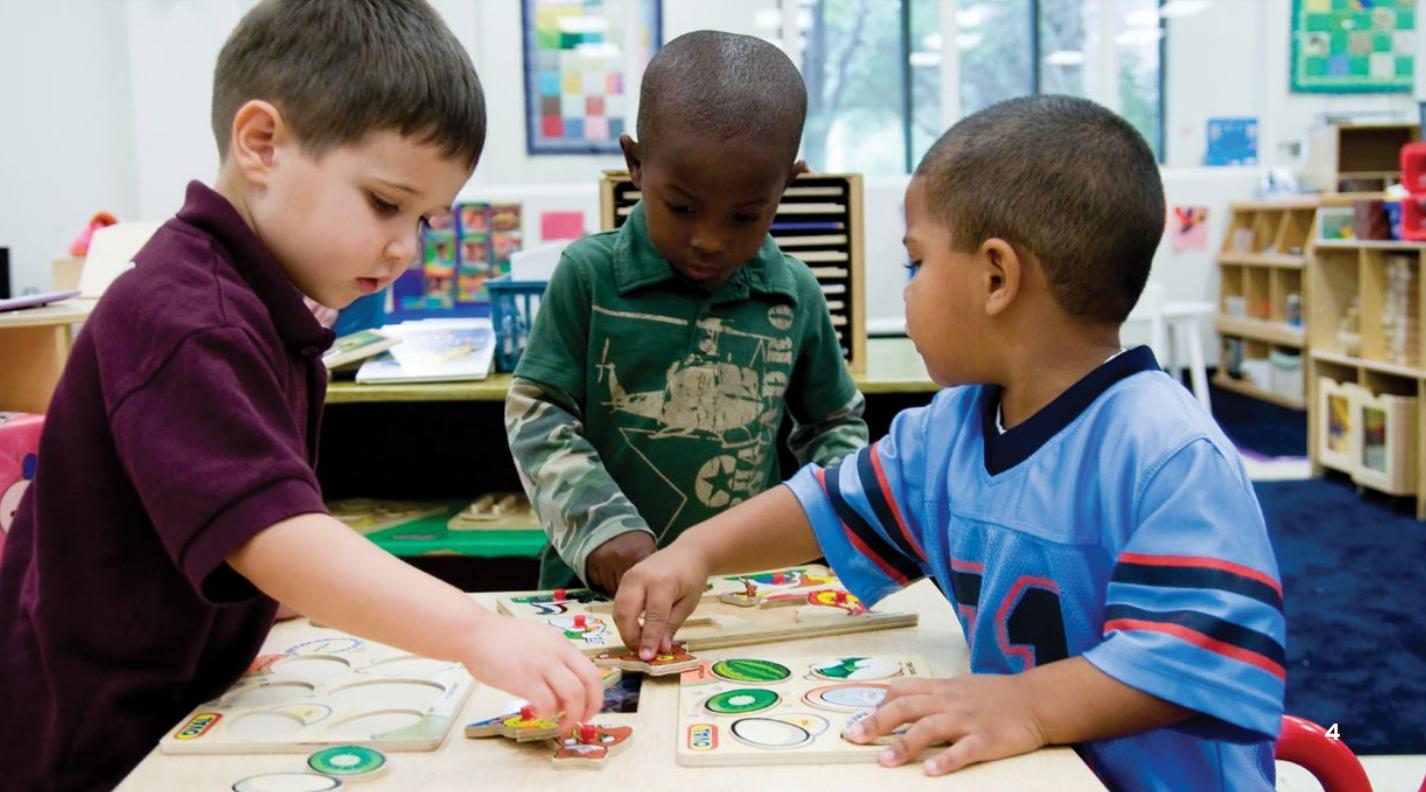 Problem Solving & Critical Thinking